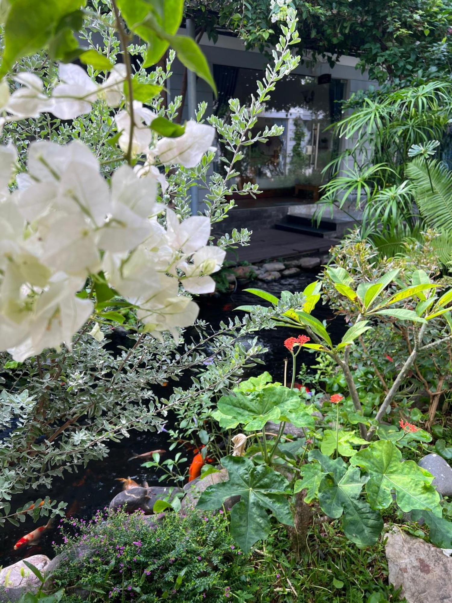 Window Homestay Kon Tum Dış mekan fotoğraf